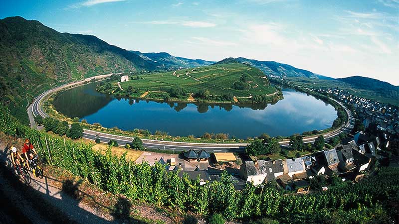 Vinresa till Moseldalen med panoramavy över flodkrök och vinodlingar längs Mosel.