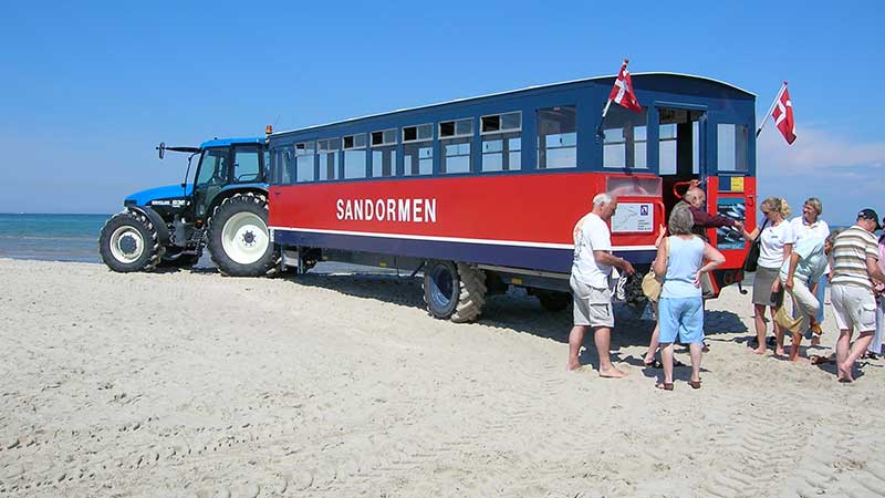 Sandormen i Skagen kr Tjrnarpsbuss-gster ver sanddynerna till Grenen dr Kattegatt mter Skagerrak vid Danmarks nordspets.