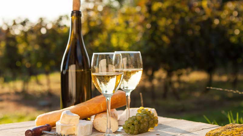 Vinprovning p� trevlig ving�rd i norv�stra Sk�ne. Kullaberg, Lottenlund och Arilds ving�rd bes�ker vi.