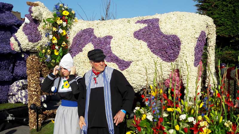 Blomsterparad i Holland med Milka-ko-vagn, blommor och personer i traditionella kläder