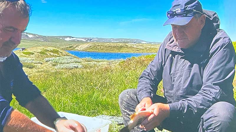 Två män rensar fisk vid vattnet i Geilos natursköna landskap – en stund av friluftsliv och gemenskap