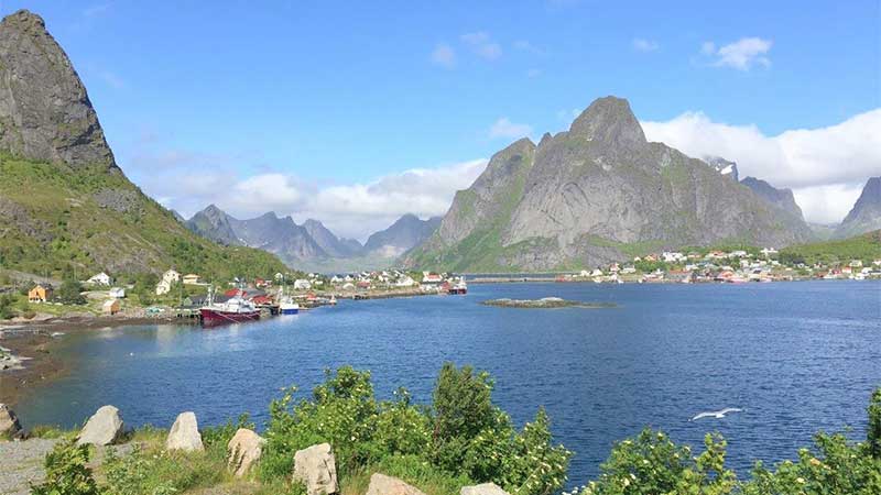 Sommarlandskap i Lofoten  bussresa med Tjrnarpsbuss genom skrgrd, berg och dramatisk kust i Nordnorge